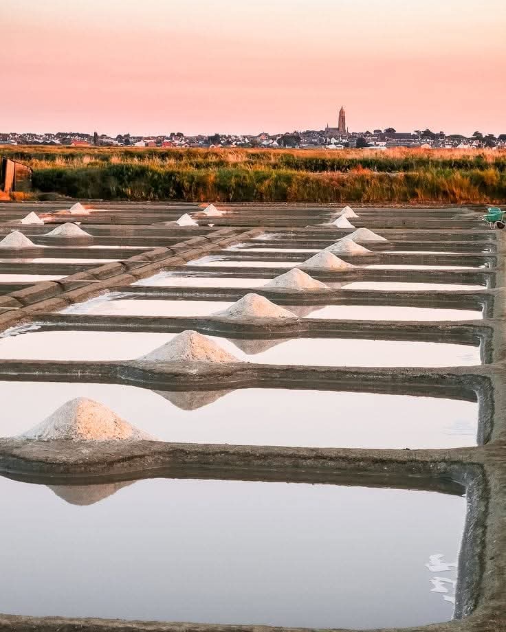 Herbs De Provence Sea Salt