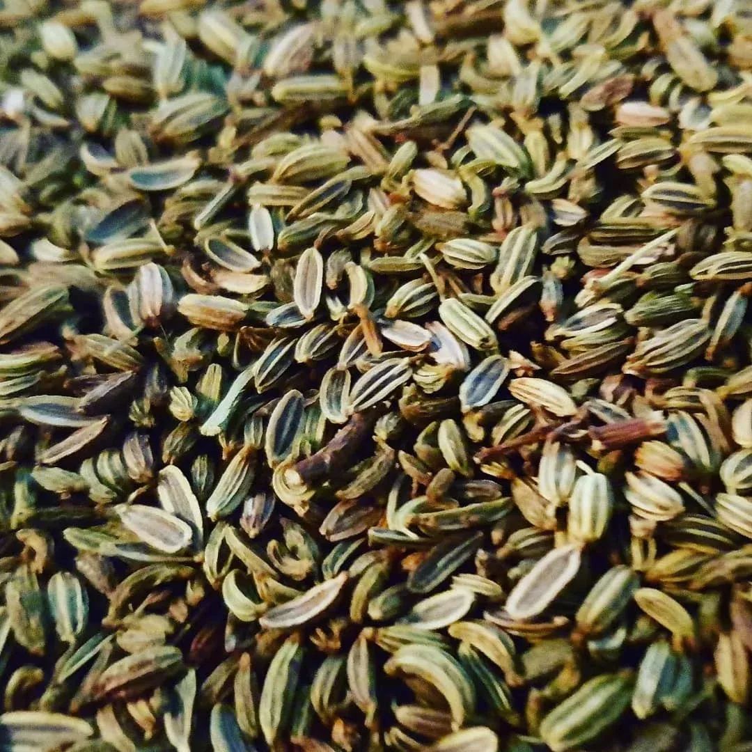 Porchetta Seasoning Limited Edition